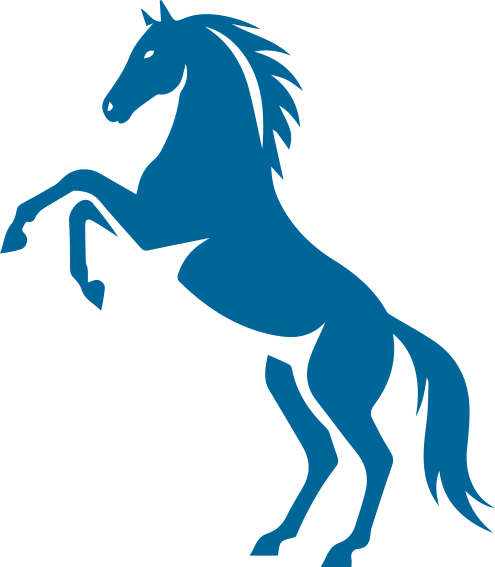 IEEE-ZSB Horse